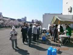札幌グリーン-201705_クラブ員が種から育てた千島桜苗木を市民へ450本プレゼント