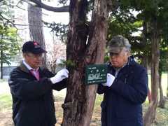 札幌グリーン-2010~2014年_中島公園の樹木に樹名板320枚設置