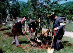 札幌ライラック_1965～1975_市樹ライラックの植樹作業